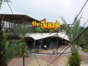 jungle.1(1)